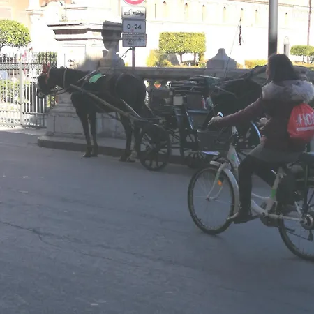 Pensjonat Casa Al Massimo