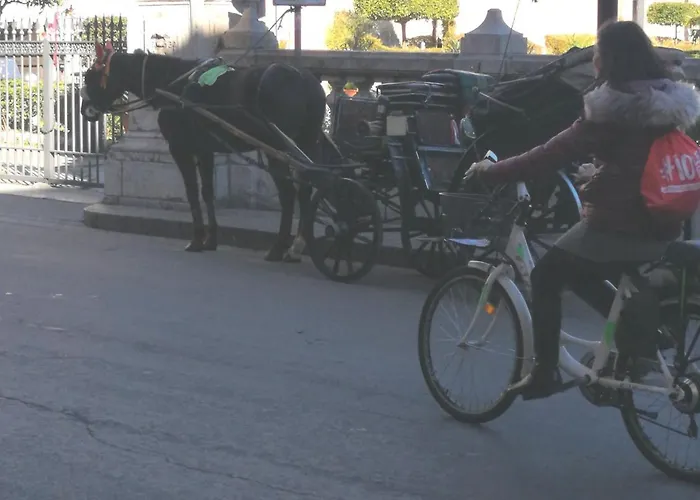 Konukevi Casa Al Massimo